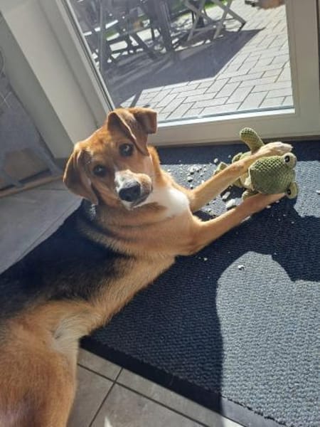 Entdeckerin Danesa sucht ihr Zuhause