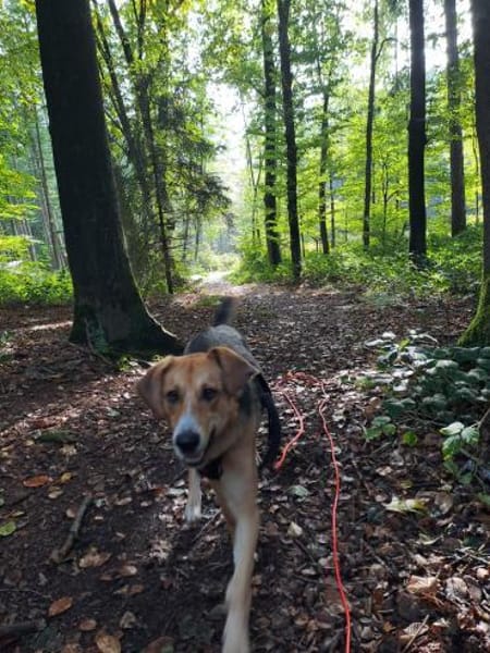 Entdeckerin Danesa sucht ihr Zuhause