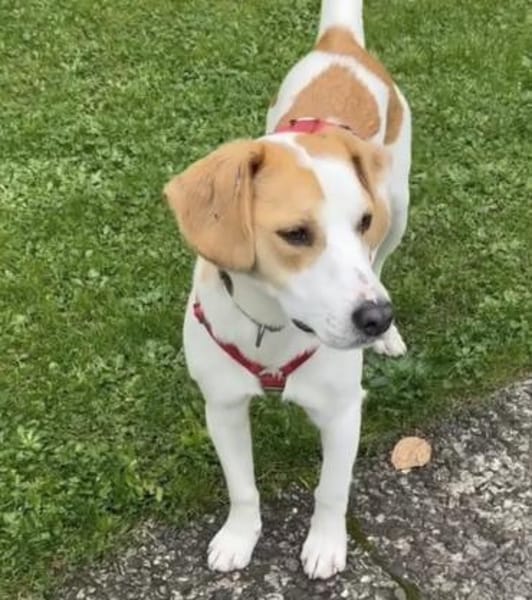 METTI SUCHT IHR TRAUMZUHAUSE