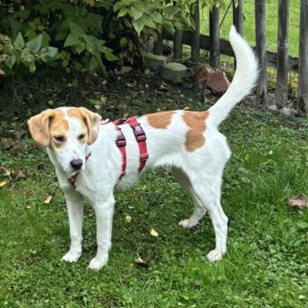 METTI SUCHT IHR TRAUMZUHAUSE