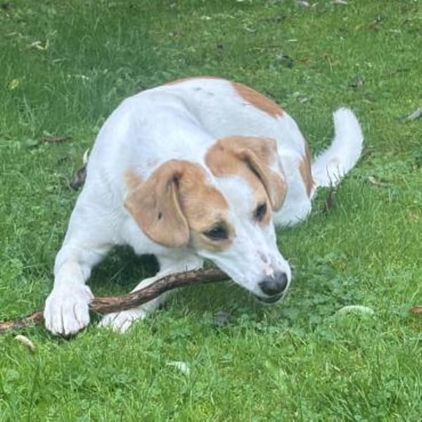 METTI SUCHT IHR TRAUMZUHAUSE