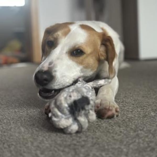 METTI SUCHT IHR TRAUMZUHAUSE