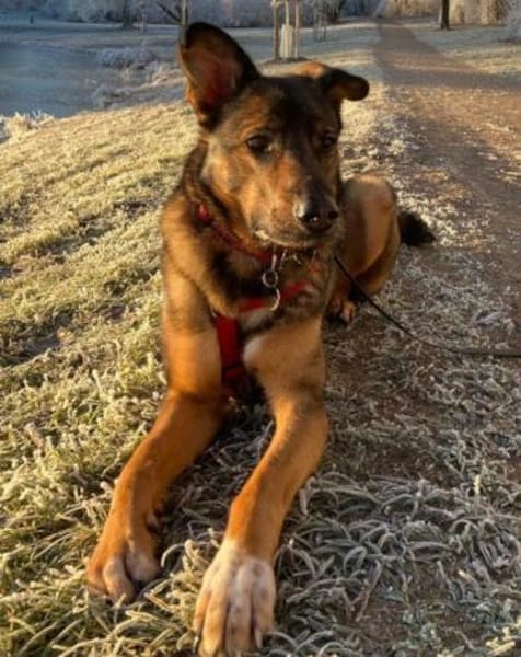 HSH-Mix ❤ Nelli ❤ in 25474 Bönningstedt