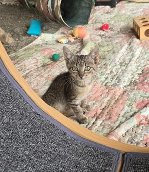 Die kleine Klara sucht ihre Menschen 💕
