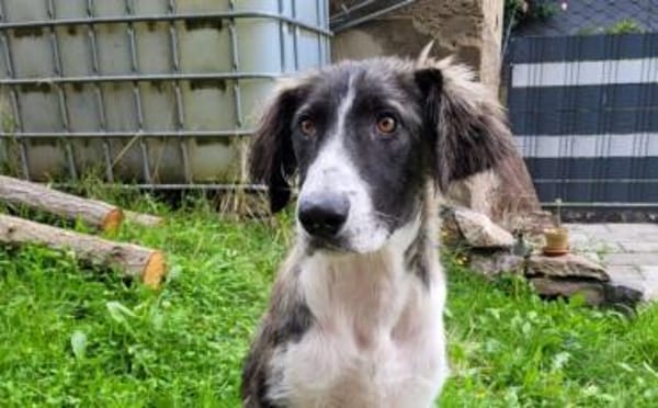 Amaris ist bereit für ein neues Leben