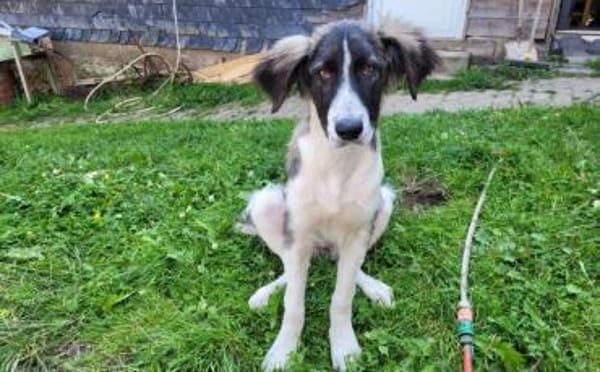 Amaris ist bereit für ein neues Leben