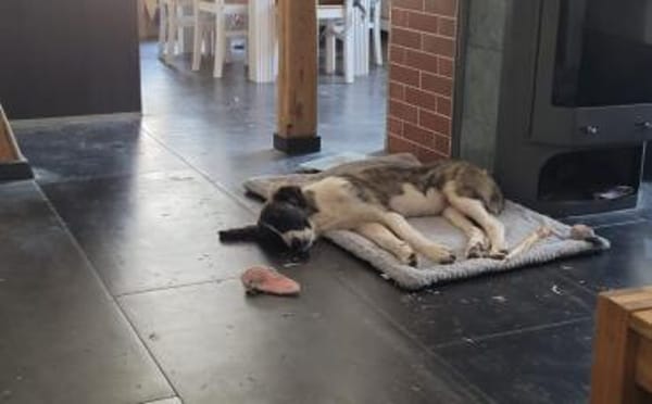 Amaris ist bereit für ein neues Leben