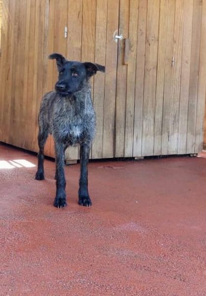 Haben Sie Platz für Melanie??🎉