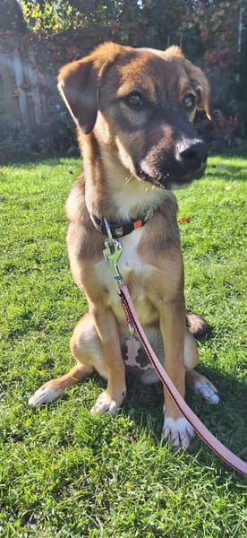 Uschi sucht ihre Herzenmenschen