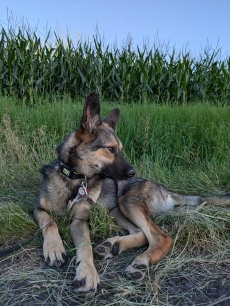 Kinderlieber VANJO  2 Jahre 💜