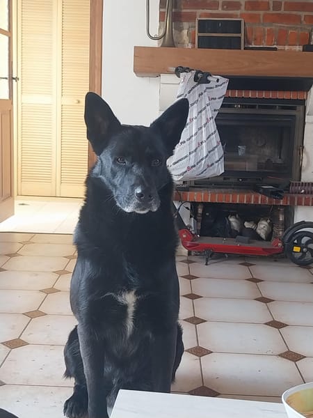 Benni