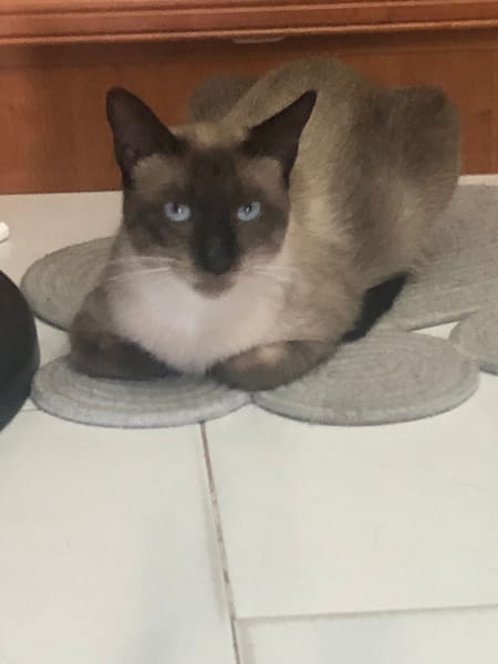 PEPI