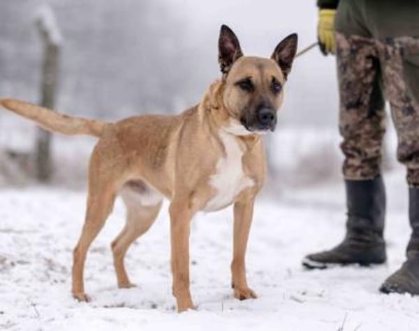 Creo sucht sein Traumzuhause