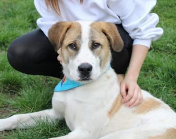 Yaro hat seinen Koffer schon gepackt