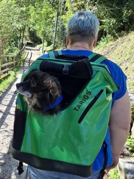 Goldschatz FRODO sucht sein Zuhause