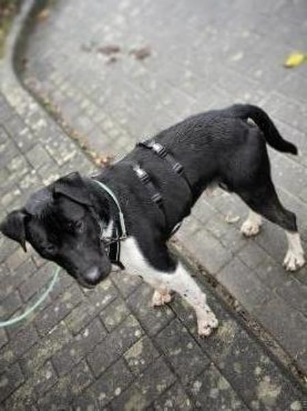 Ikem hat viel Liebe für Familie zu geben