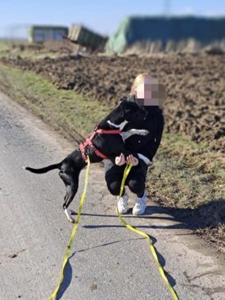 Ikem hat viel Liebe für Familie zu geben