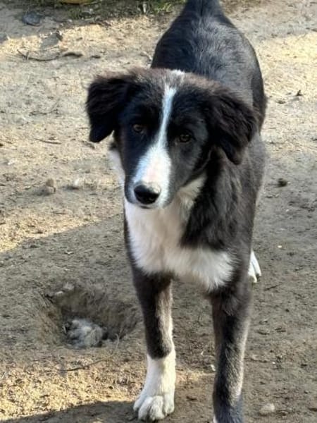 auf Pflegestelle in 91781