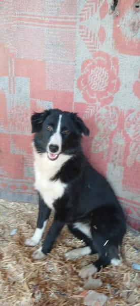 auf Pflegestelle in 91781