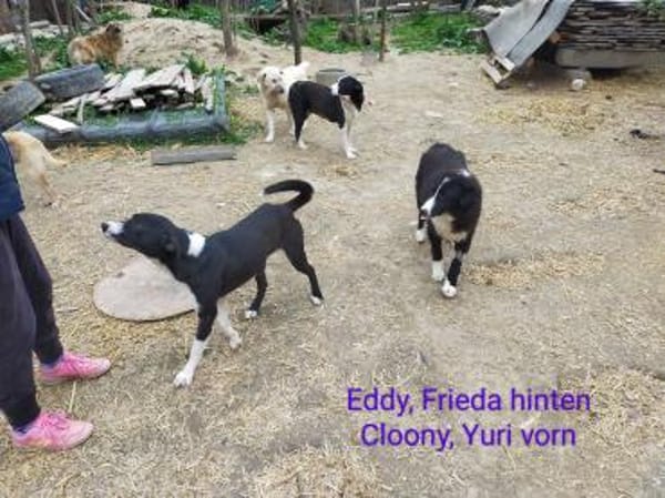 auf Pflegestelle in 91781