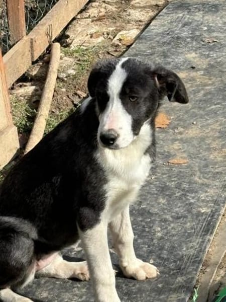 auf Pflegestelle in 91781