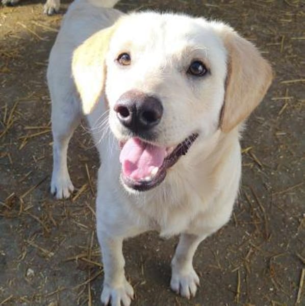 Horst liebt Abenteuer mit Menschen