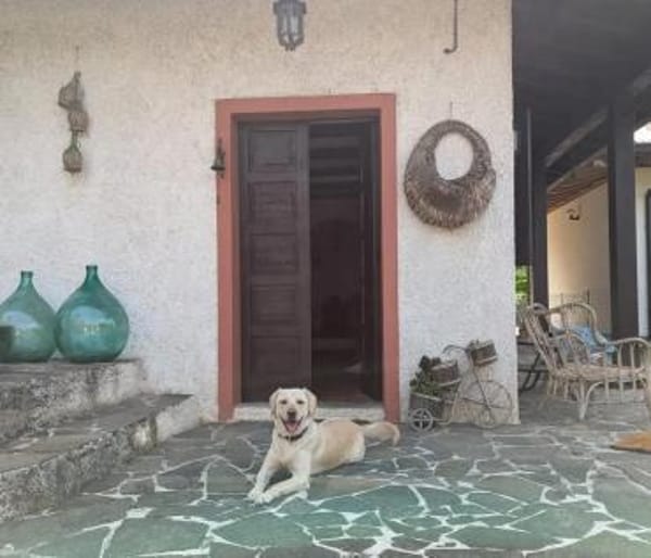 Horst liebt Abenteuer mit Menschen