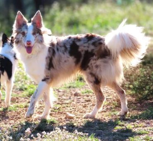 Baku - fröhlich und aufgeschlossen