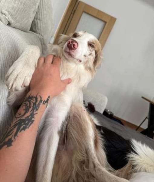 Baku - fröhlich und aufgeschlossen