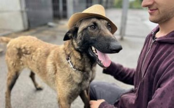 Charmeur und Kuschelkandidat Franjo