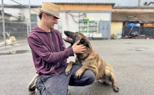 Charmeur und Kuschelkandidat Franjo