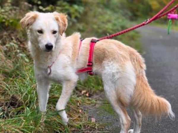 Wer gibt Serena eine Chance?