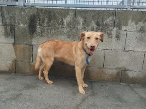 Kompletter Neuanfang gesucht mit Herz