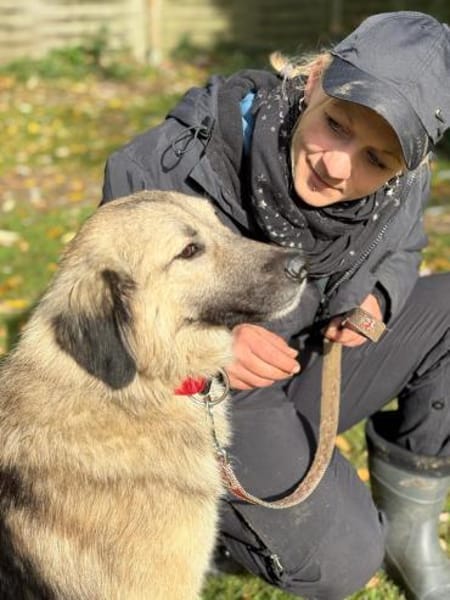 Ben - charmante Herz auf vier Pfoten ❤