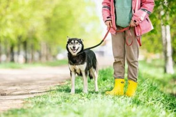 Frohnatur Lina sucht ihre Familie