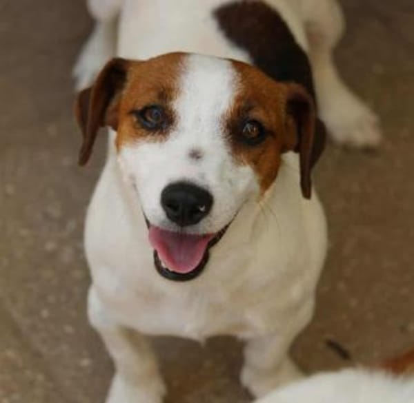 Giorgia, Pflegestelle in Hessen