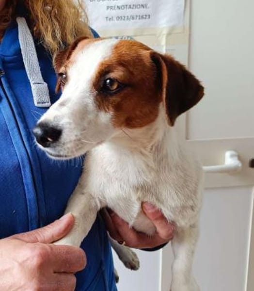 Giorgia, Pflegestelle in Hessen