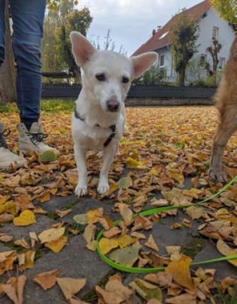 Masha ist so liebenswert und bescheiden!