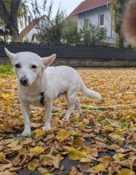 Masha ist so liebenswert und bescheiden!