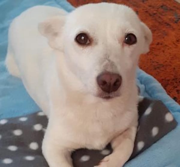 Masha ist so liebenswert und bescheiden!
