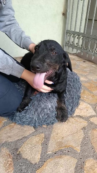 Bernysucht eine liebe Familie