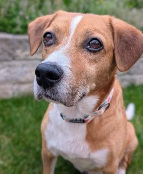 Lucero endlich ist er in Sicherheit