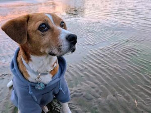 Lucero endlich ist er in Sicherheit