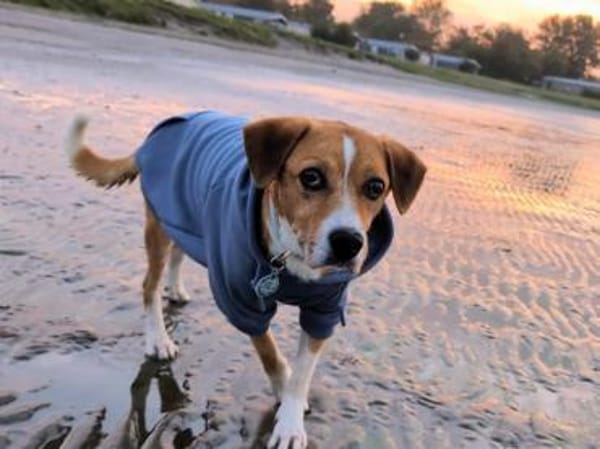 Lucero endlich ist er in Sicherheit