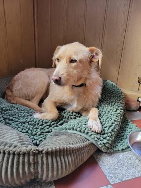 LUNA 💜💜💜  ausgeglichen, ruhig