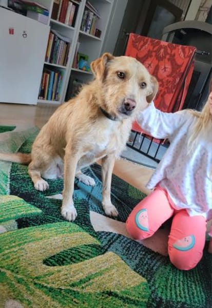 LUNA 💜💜💜  ausgeglichen, ruhig