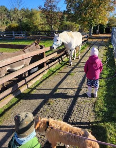 LUNA 💜💜💜  ausgeglichen, ruhig