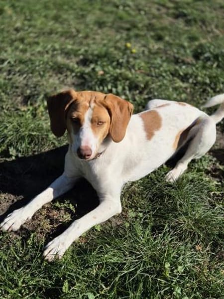 💕Cleo💕sucht ihre Menschen🐾💕🐾