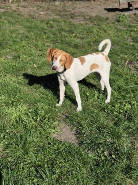 💕Cleo💕sucht ihre Menschen🐾💕🐾