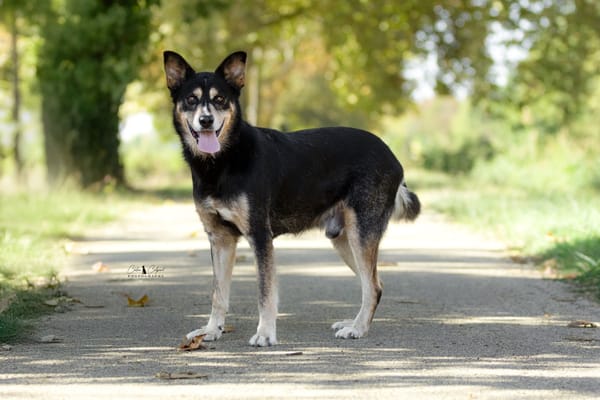 KIMBALOU